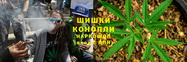 PSILOCYBIN Бугульма